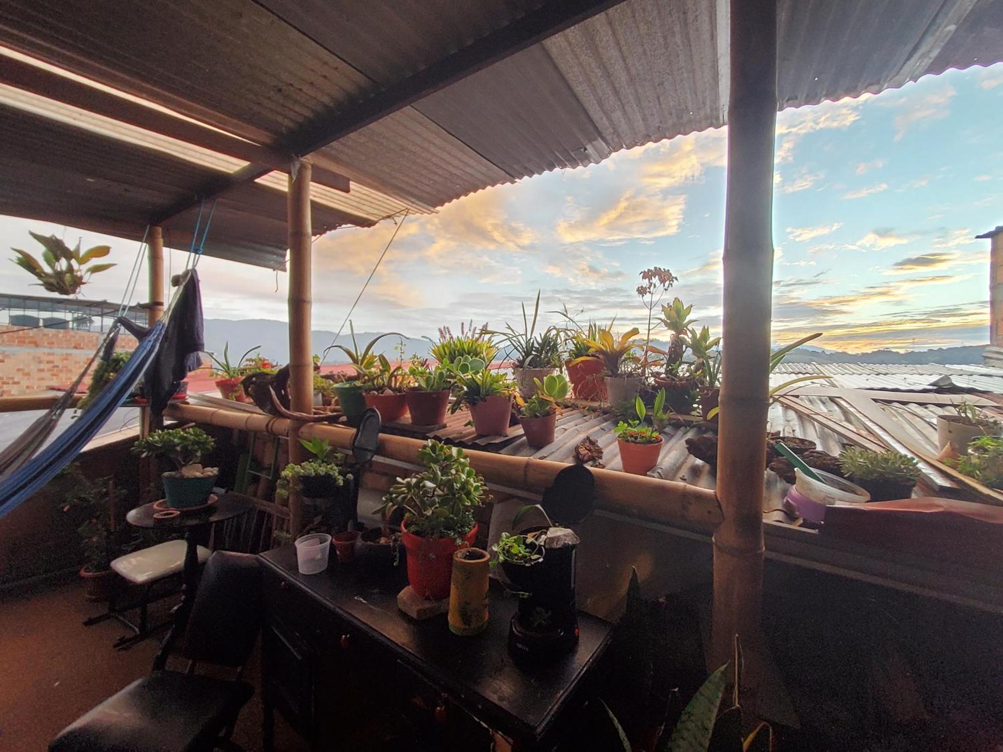 Hostal Musica Y Arte ซานออกุสติน ภายนอก รูปภาพ