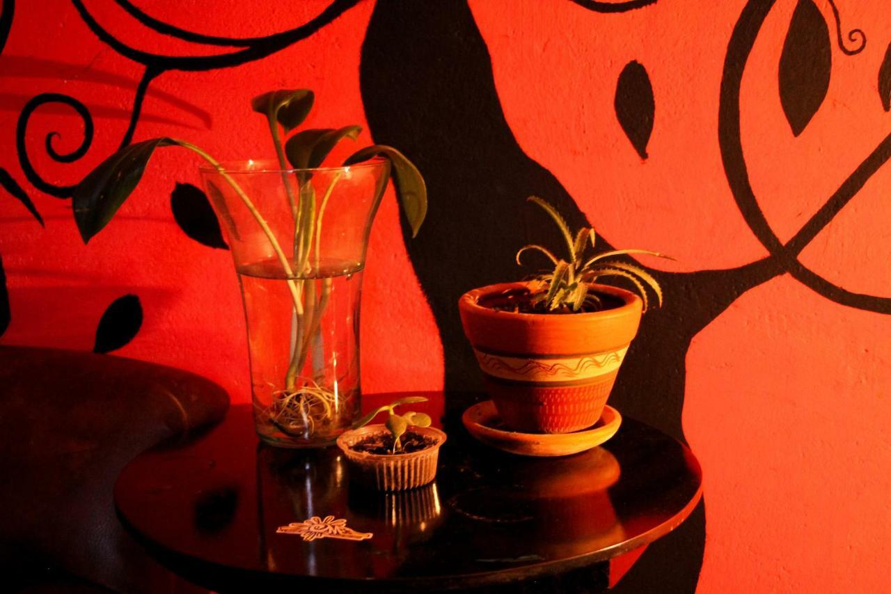 Hostal Musica Y Arte ซานออกุสติน ภายนอก รูปภาพ